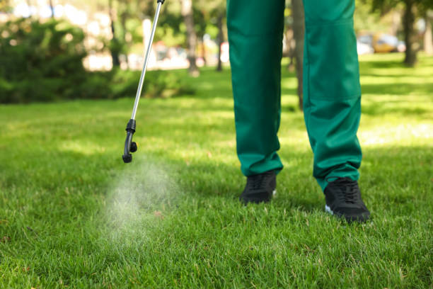 Flea Control Services in Churchville, PA